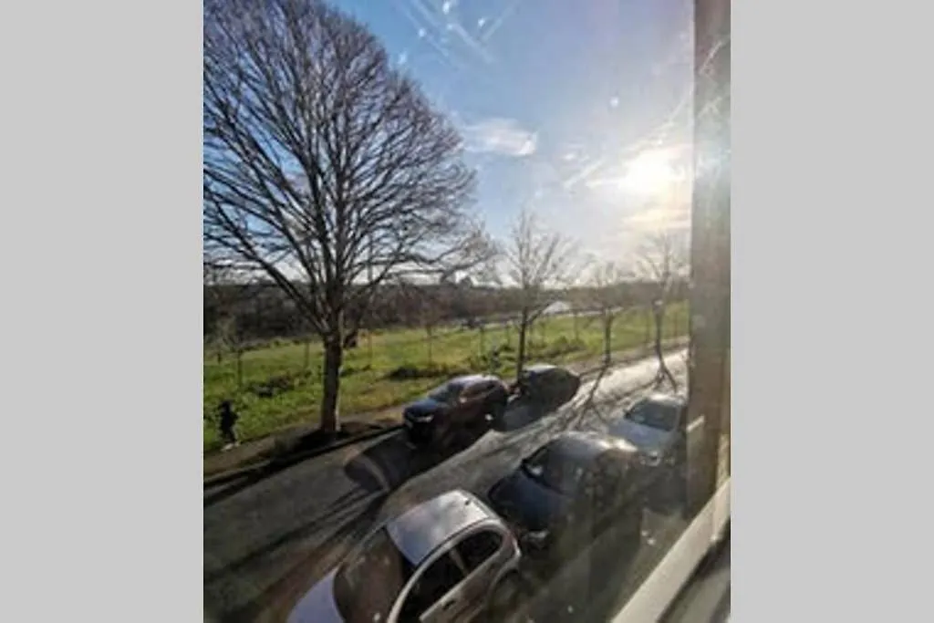 Tranquil Garden Apartment In The Heart Of The City Cardiff